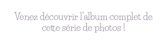 Voir l'album photo du Louvre